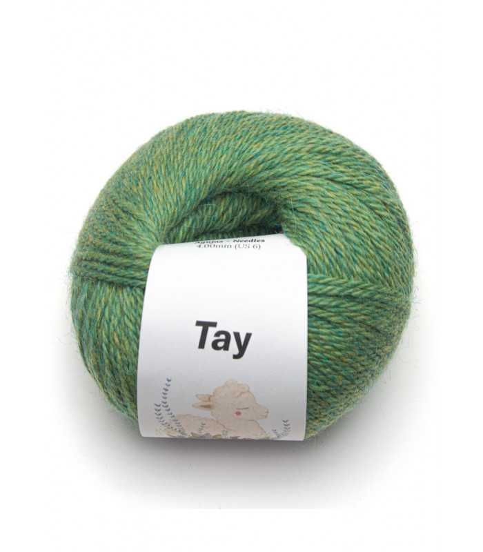 Tay